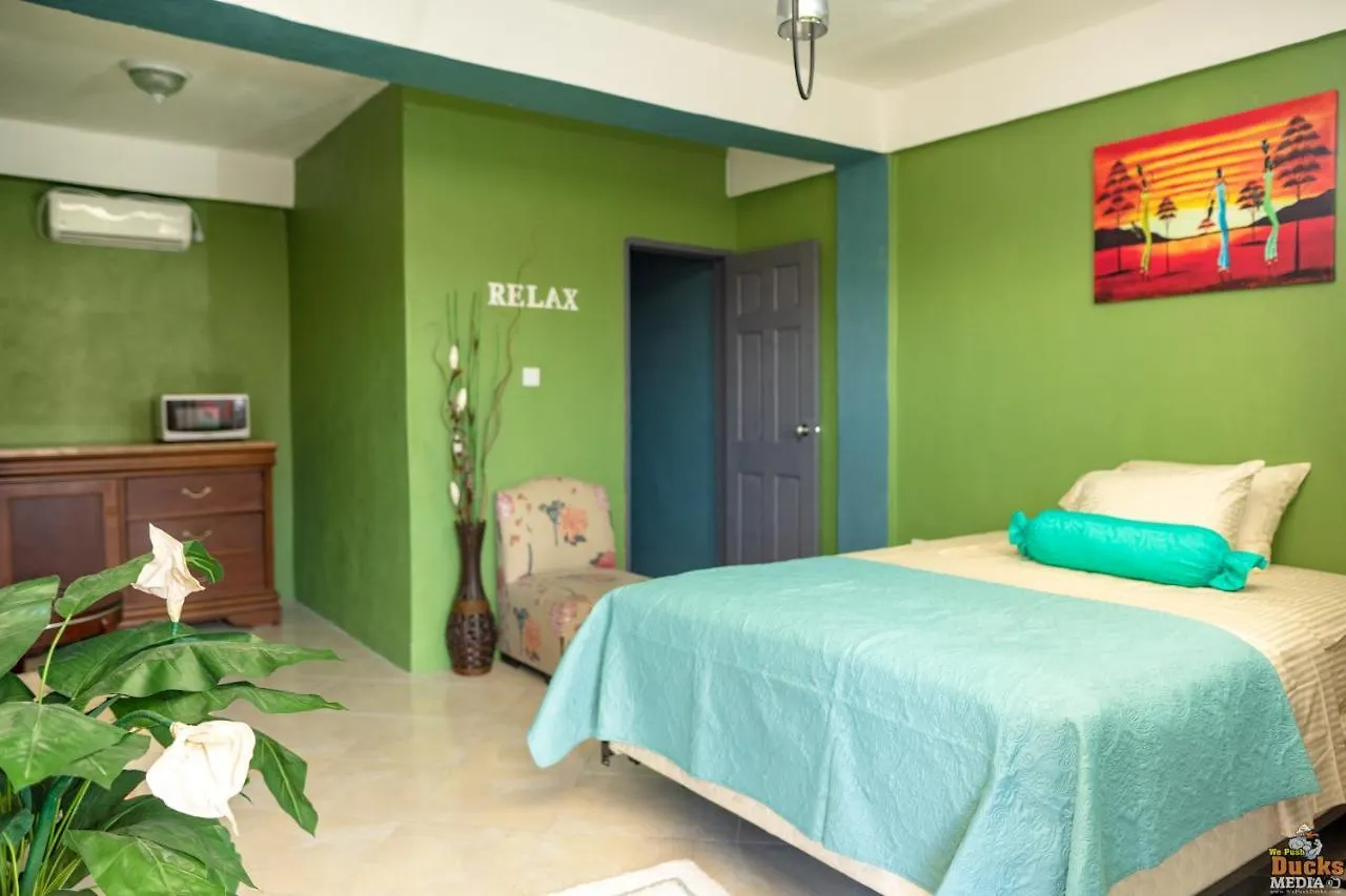 Lushe'S Lodge Vieux Fort 0*,