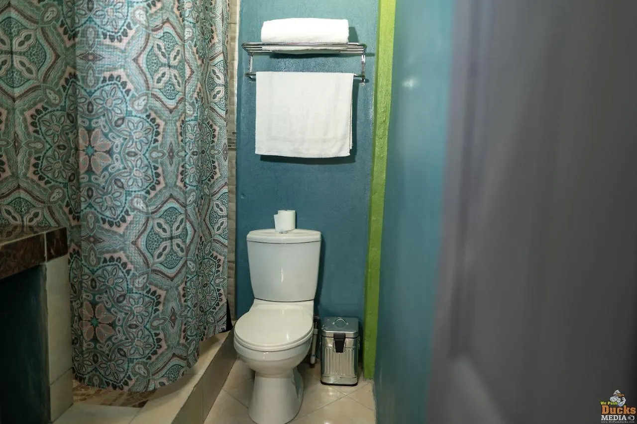 Lushe'S Lodge Vieux Fort
