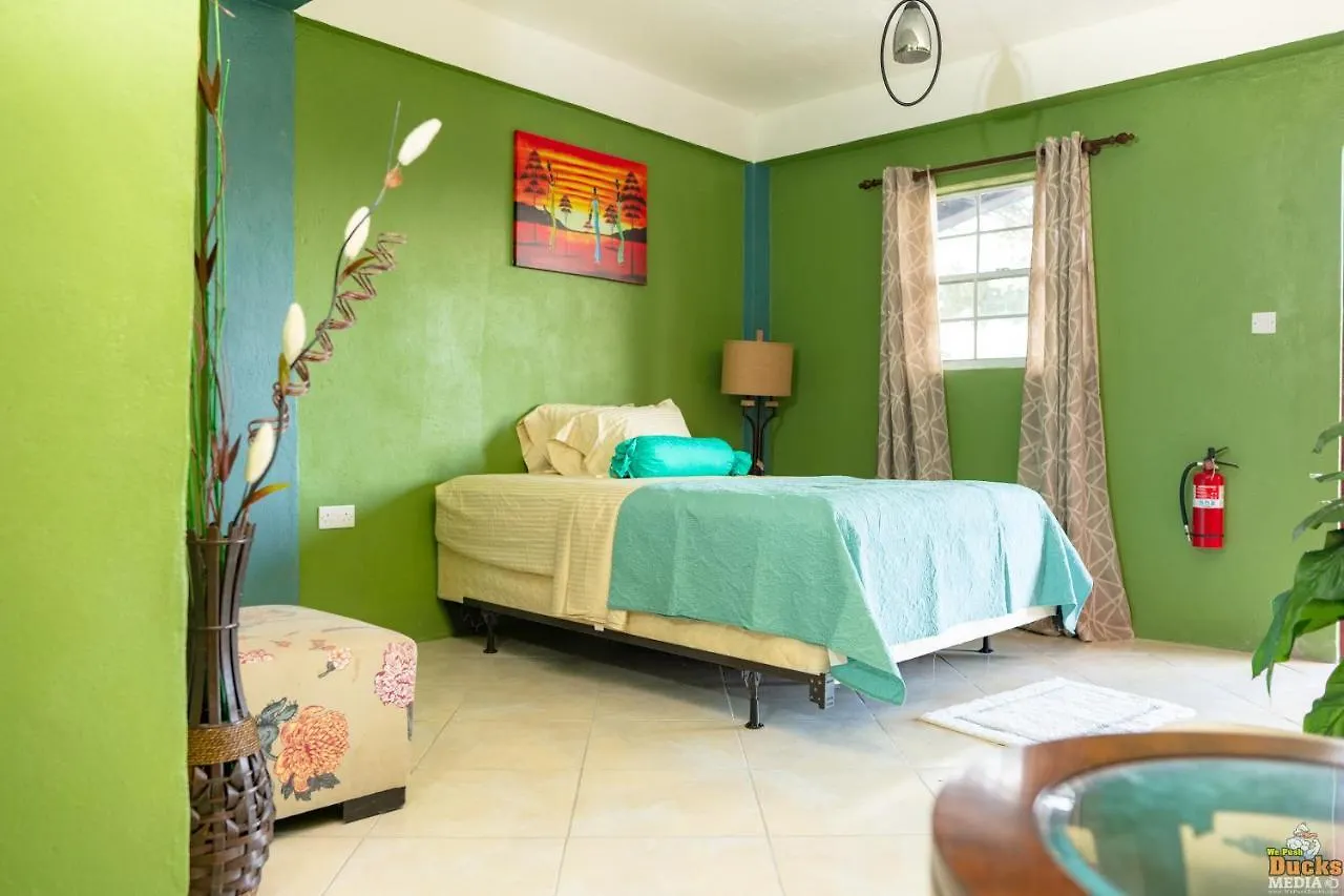 Lushe'S Lodge Vieux Fort Saint Lucia